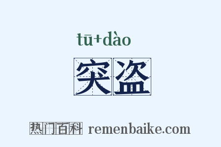 突盗是什么意思的图片